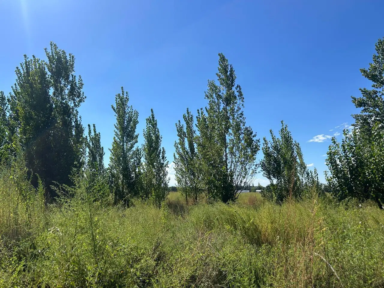 Terreno en Totoral 3