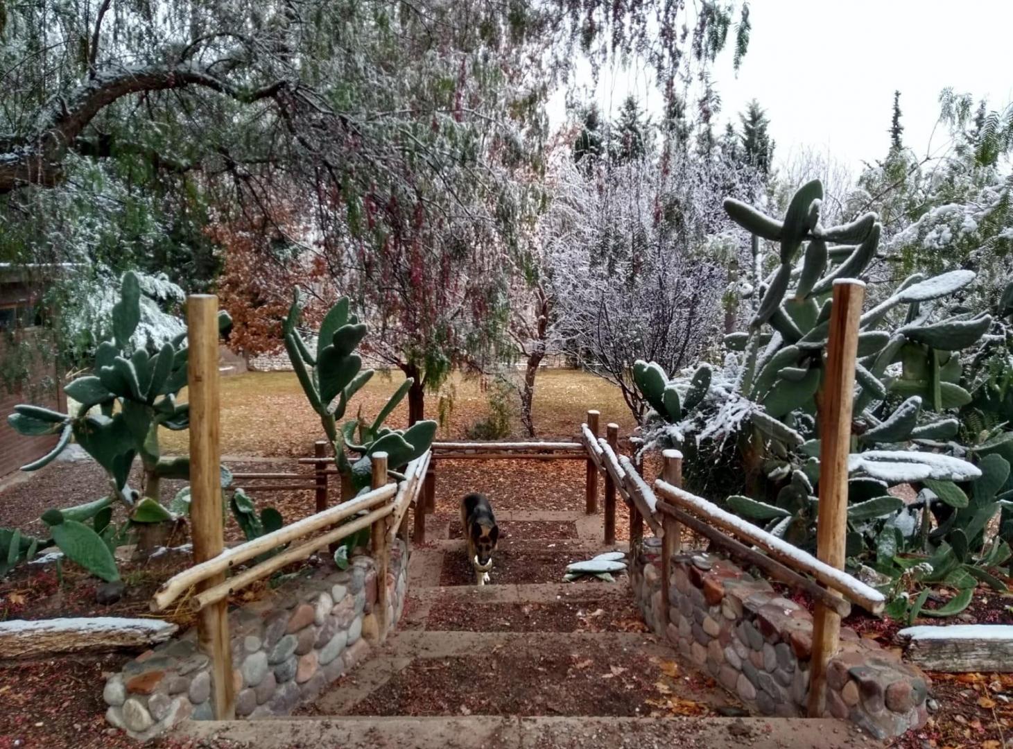 Foto de Quinta en Perdriel, imagen 4