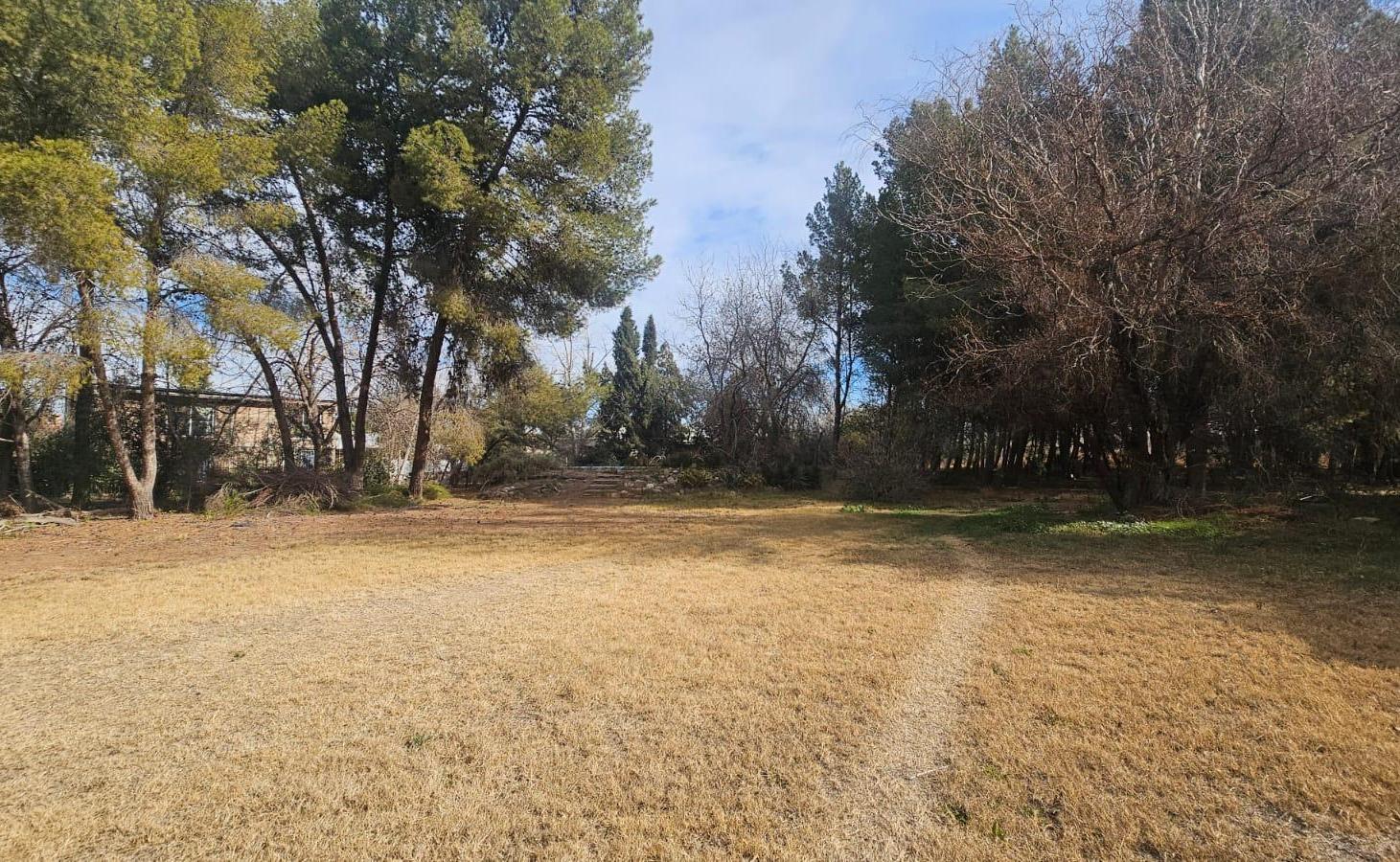 Foto de VENTA FINCA Terreno con Casaen Colonia Segovia, imagen 5