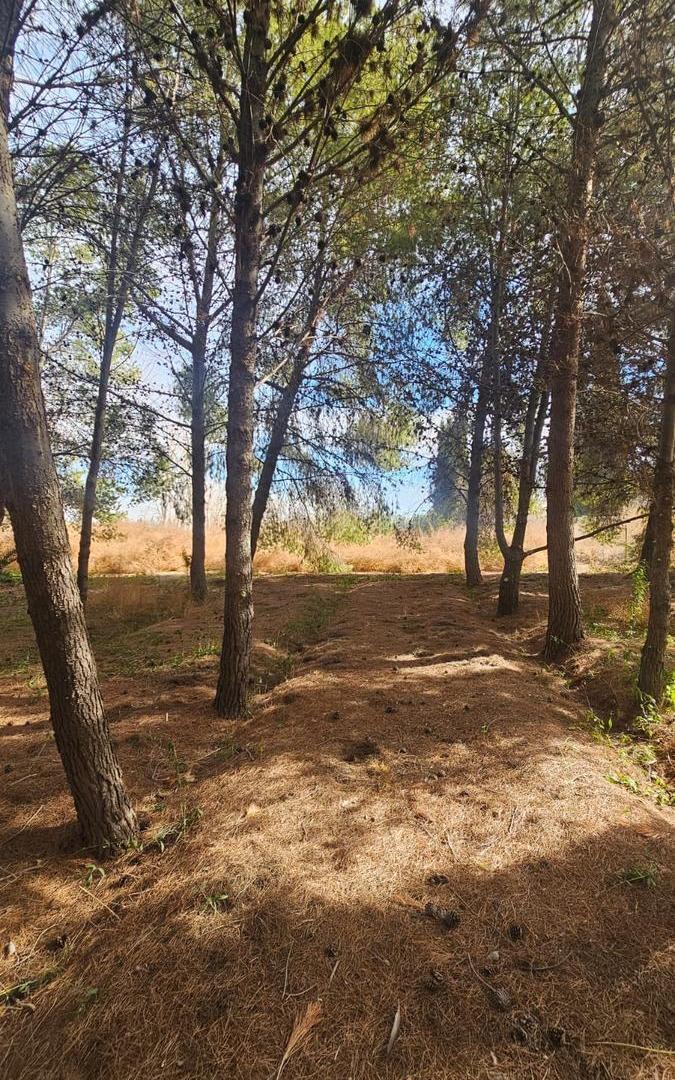 Foto de VENTA FINCA Terreno con Casaen Colonia Segovia, imagen 3