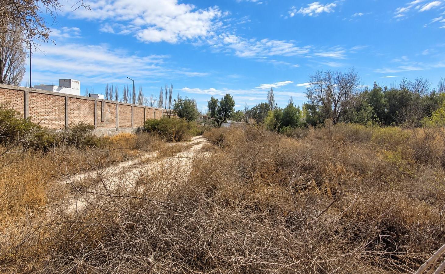 Foto de Terreno de 698 m² con 14m de Frente en Chacras de Coria, imagen 1