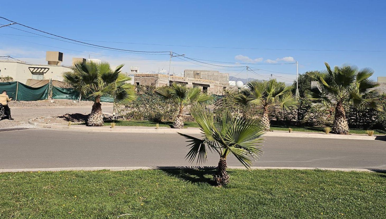 Foto de Venta casas en construcción 3 dorm 2 baños Barrio Privado Vista Oliva, imagen 3