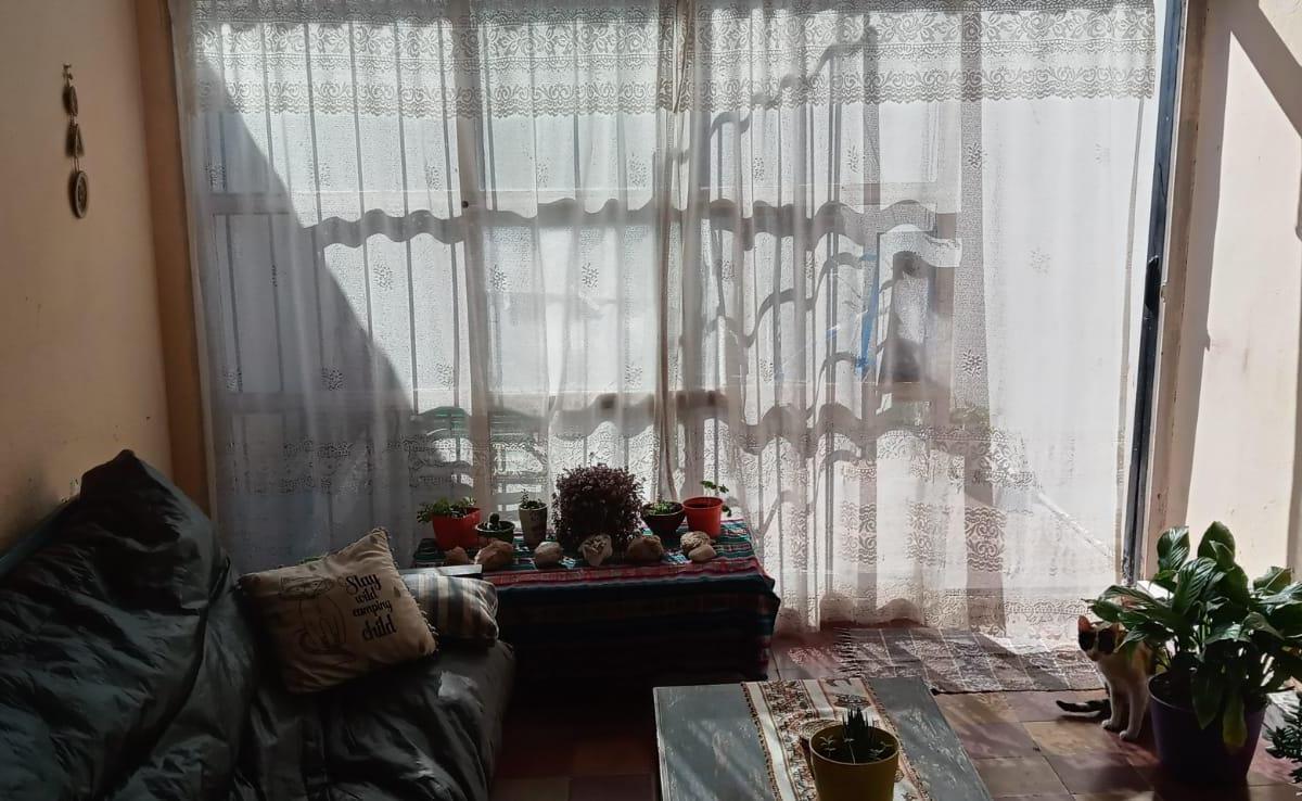 Foto de VENTA COMODO PH EN PLANTA BAJA INTERNO, imagen 2