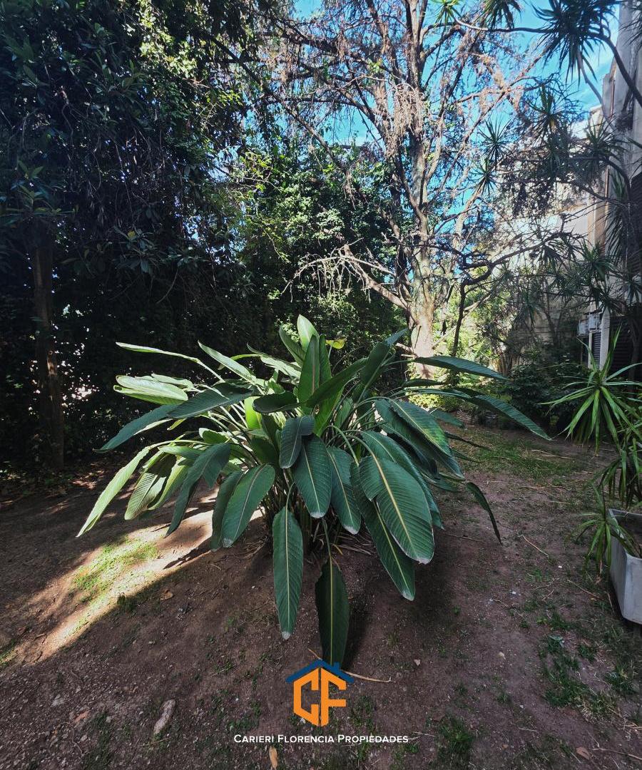 Venta De Departamento 4 Ambientes Con Cochera Libre Y Lavadero En San Martin