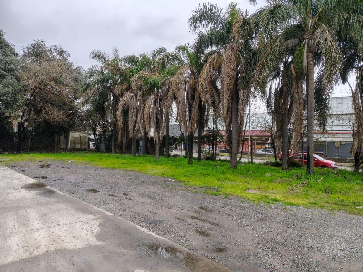 Foto de GALPON/ DEPOSITO EN DOS NAVES CON OFICINAS, imagen 2