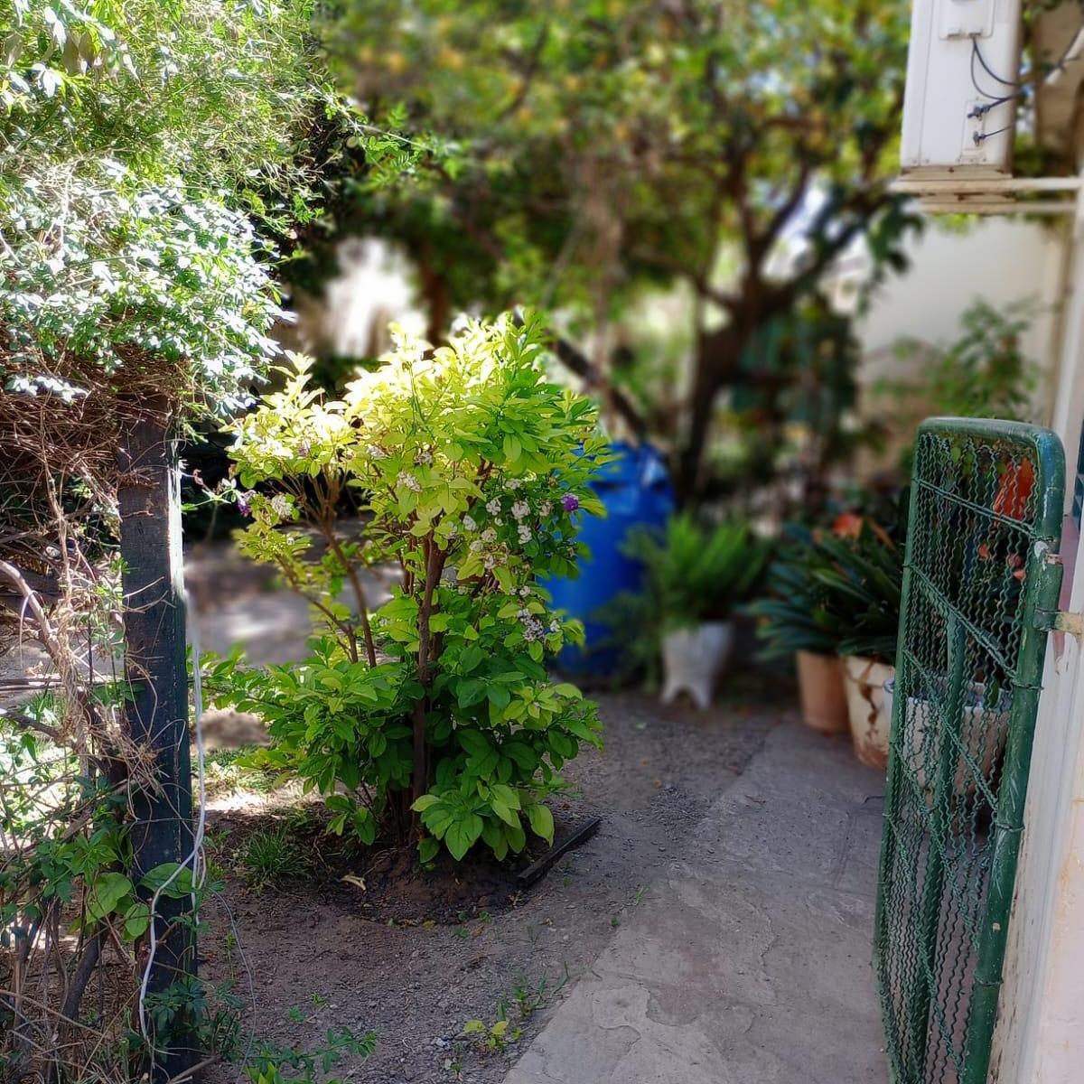 Casa 3 Dorm. - La Calera 4