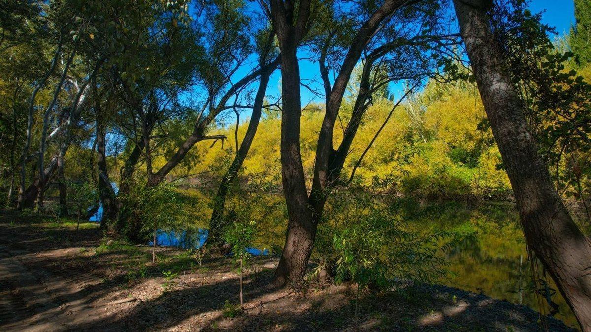 ¡Venta de Lotes en Barrio Botanico! 2