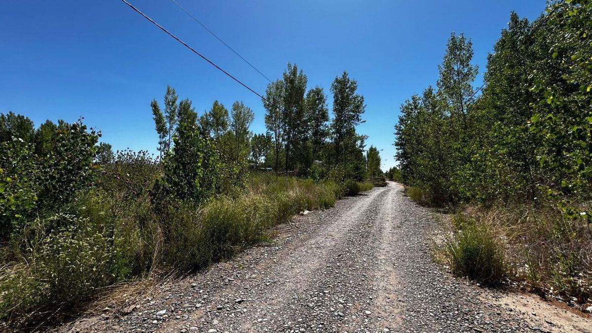 En Venta Lote La Forestada, Añelo, Neuquen 2