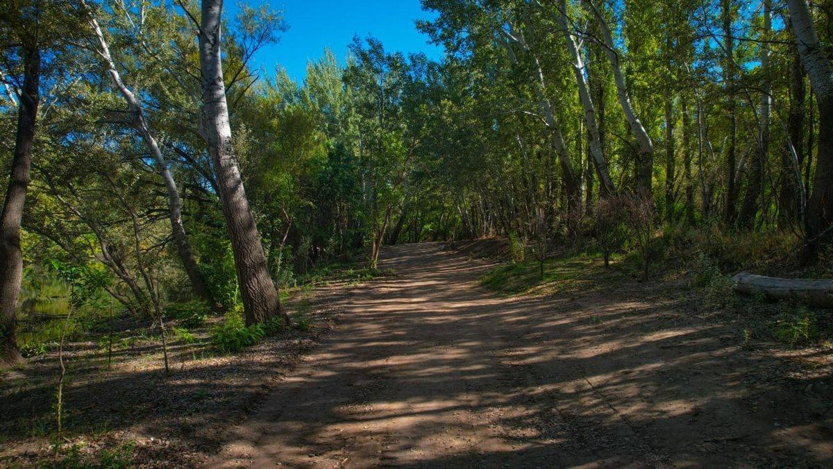 Venta Terrenos en B° Botanico “la Reserva” 1