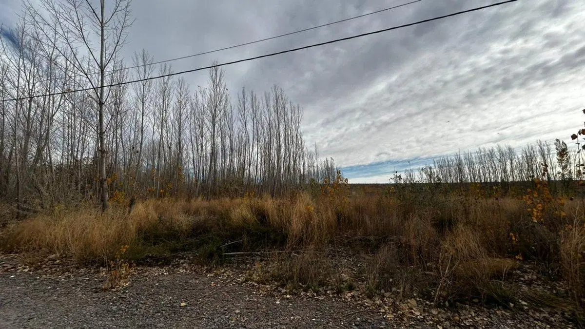 EN VENTA LOTE LA FORESTADA, AÑELO, NEUQUEN 5