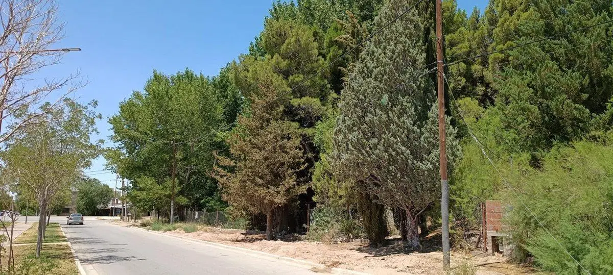 Lote 304 m2 excelente ubicación Plaza Huincul 2