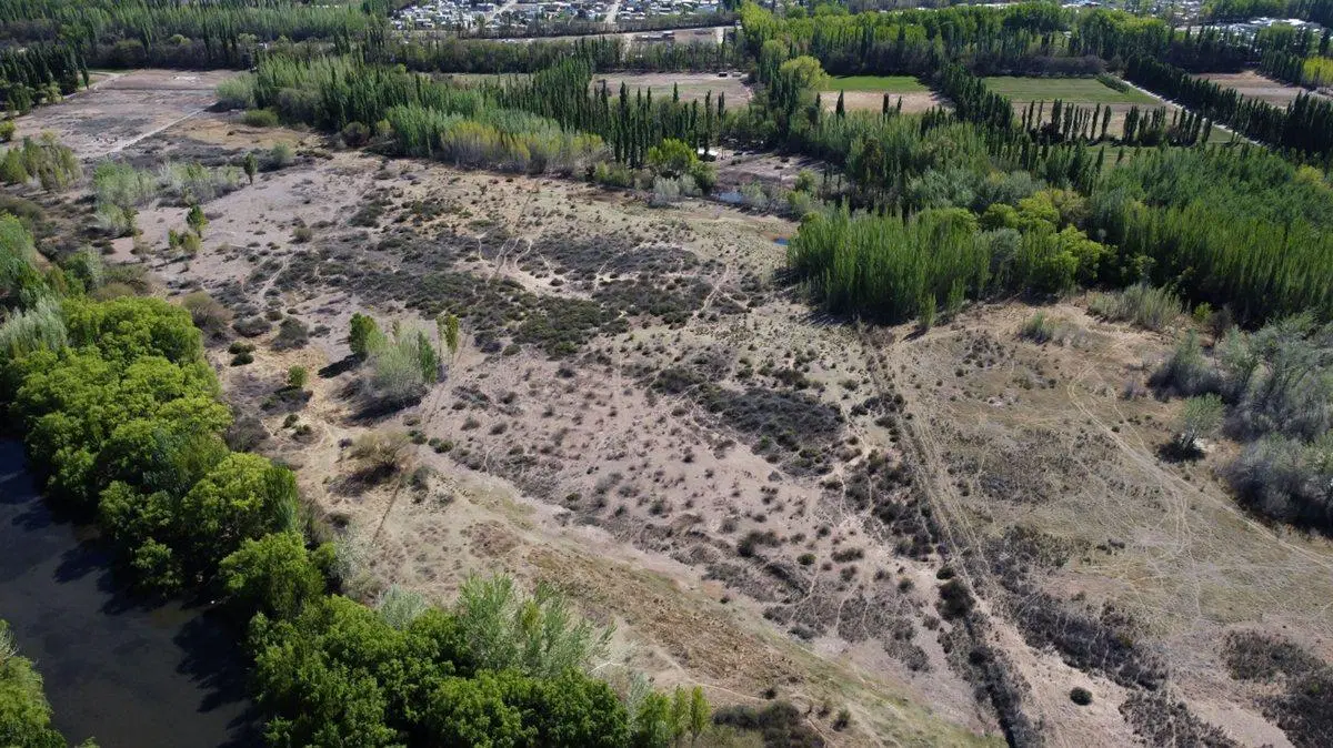 VENTA DE 7.8 HECTAREAS EN PLOTTIER 2