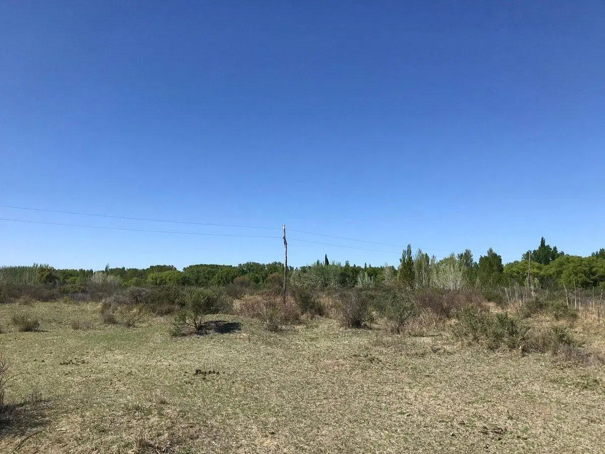 VENTA DE 7.8 HECTAREAS EN PLOTTIER 5