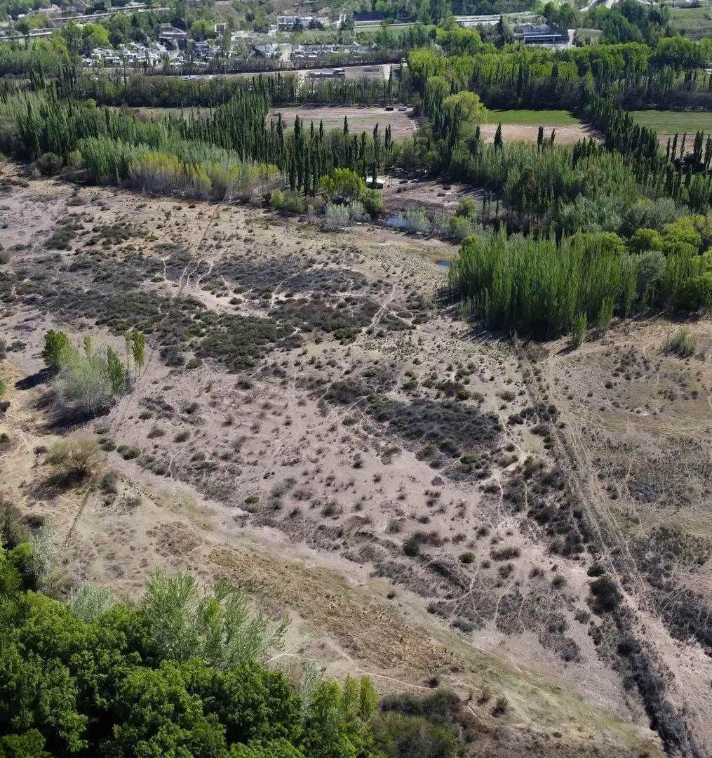 VENTA DE 7.8 HECTAREAS EN PLOTTIER 4