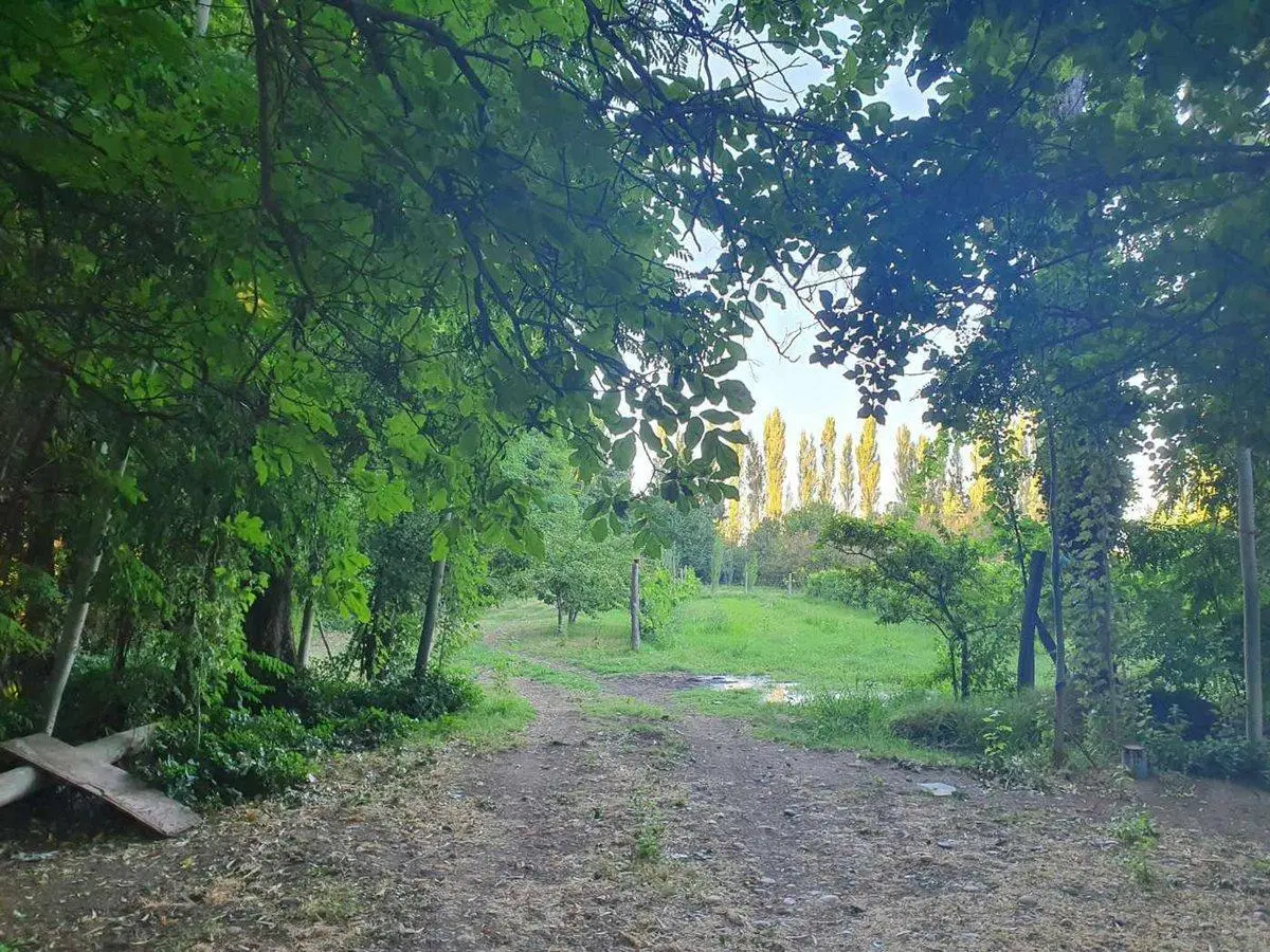 LOTE 10.643 m² EN VENTA | PLOTTIER 2