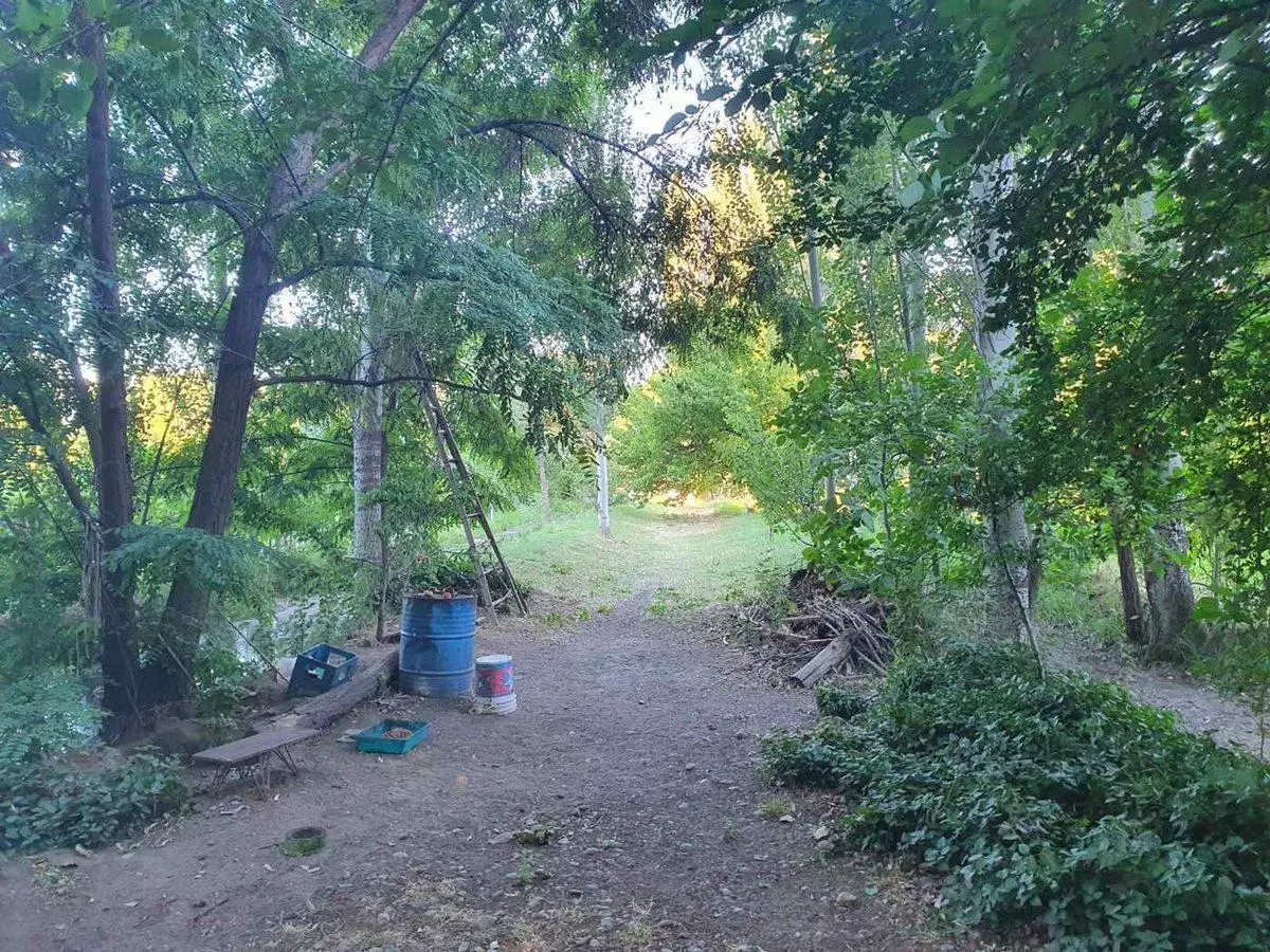LOTE 10.643 m² EN VENTA | PLOTTIER 3