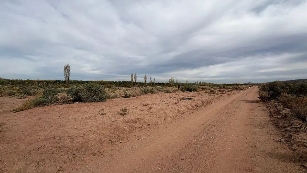 10 HECTAREAS EN VENTA EN PLOTTIER 3