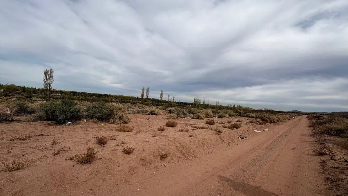 10 HECTAREAS EN VENTA EN PLOTTIER 5