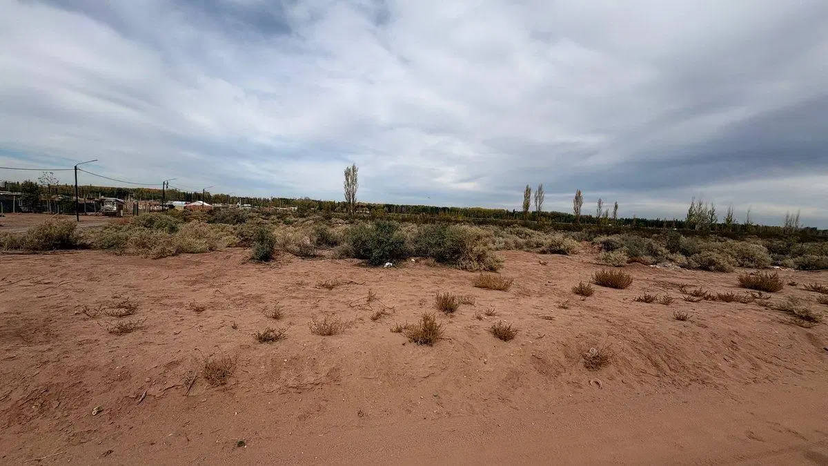 10 HECTAREAS EN VENTA EN PLOTTIER 2