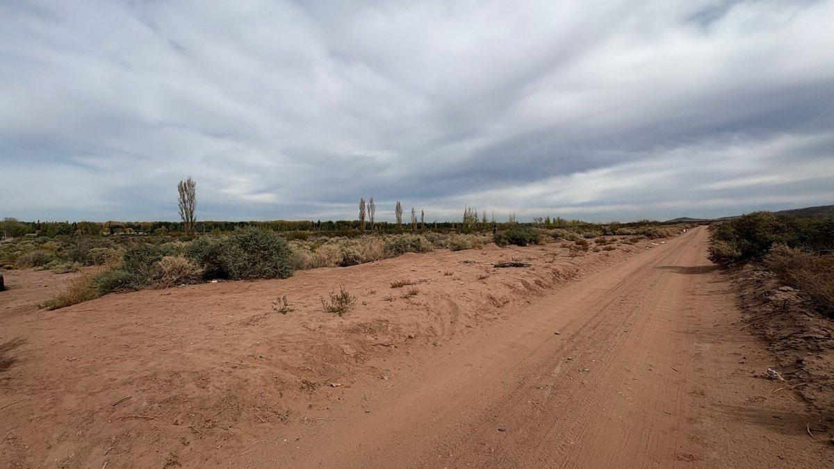 10 HECTAREAS EN VENTA EN PLOTTIER