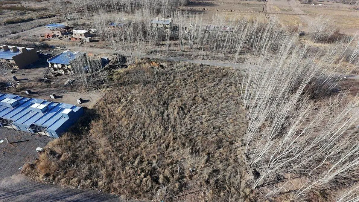 EN VENTA 6 LOTES EN LA FORESTADA, AÑELO, NEUQUEN 5