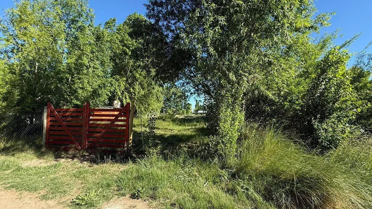 VENTA TERRENO EN CHINA MUERTA, PLOTTIER 2