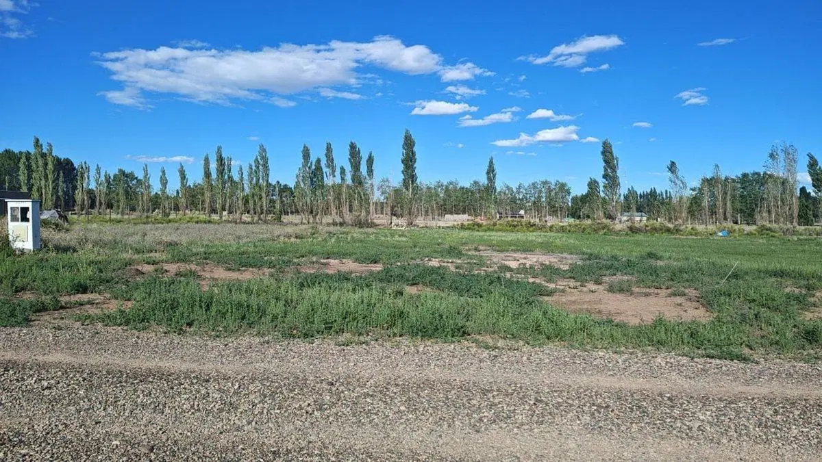 TERRENO EN VENTA DE 1000 M2 LA VICTORIANA PLOTTIER 4