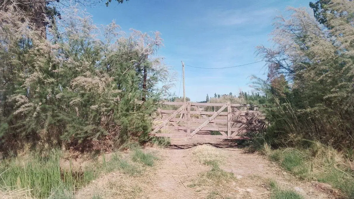 HECTAREA EN ALQUILER-PLOTTIER PARQUE INDUSTRIAL 3
