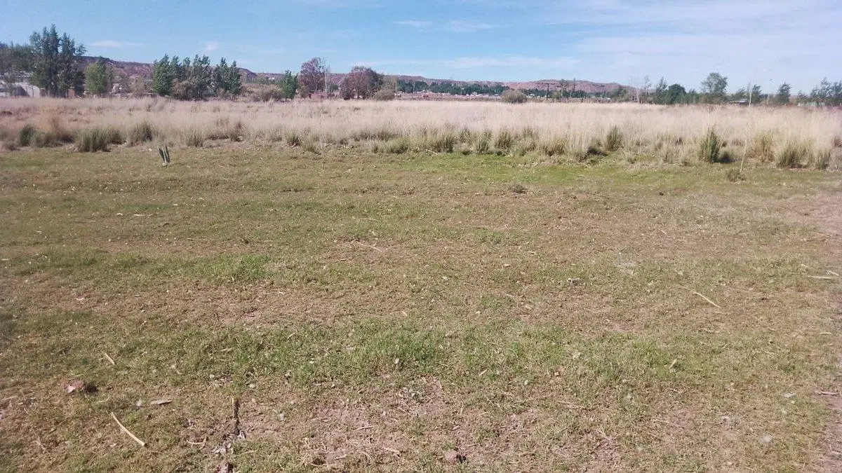 HECTAREA EN ALQUILER-PLOTTIER PARQUE INDUSTRIAL 2