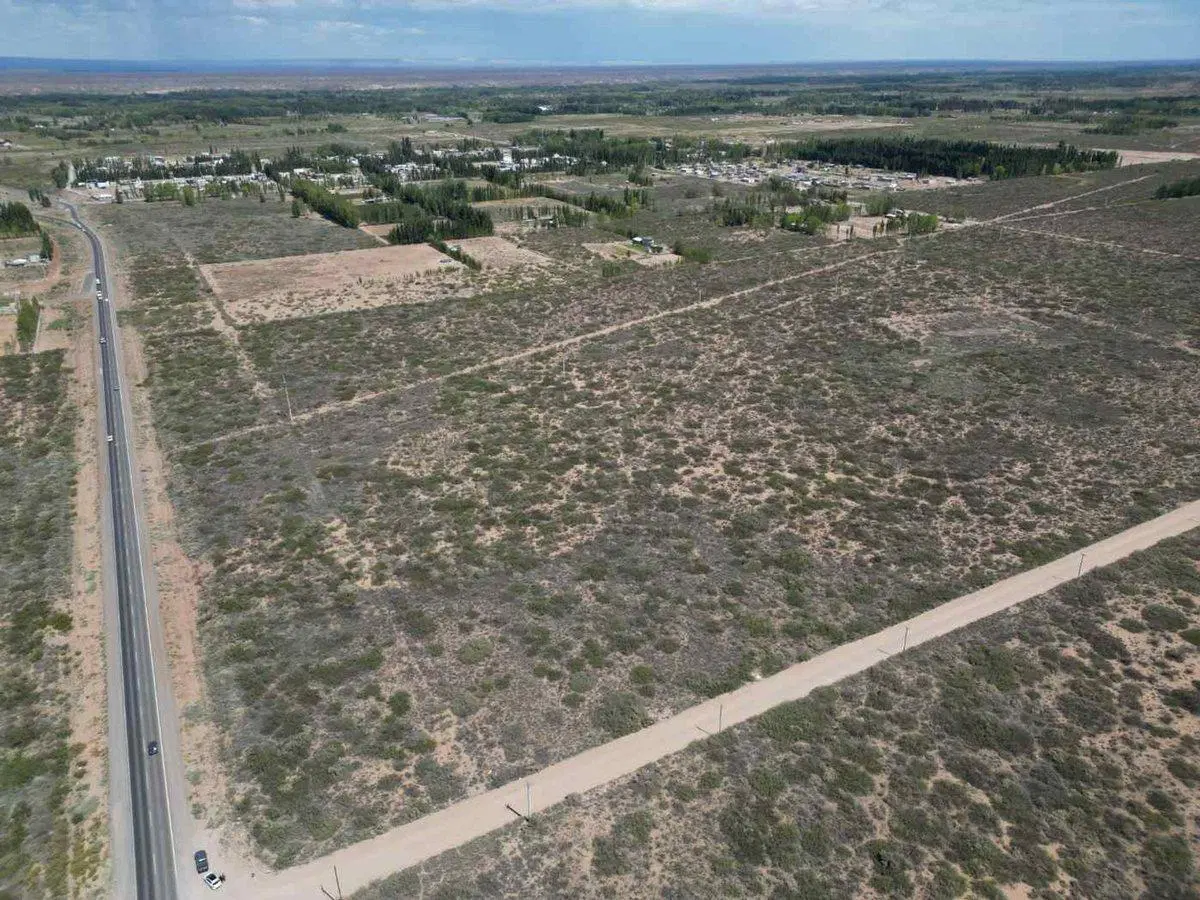 VENTA DE LOTE 6 HECTAREAS PLOTTIER NEUQUEN 5