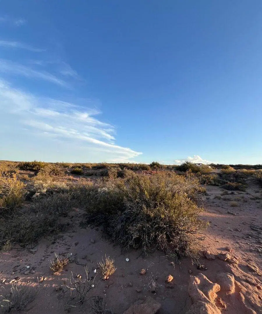 VENTA DE TERRENO EN LAGO MARI MENUCO NEUQUEN 2