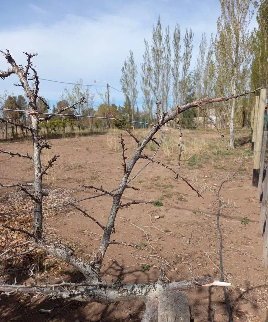 VENTA LOTE VILLA EL CHOCÓN 4