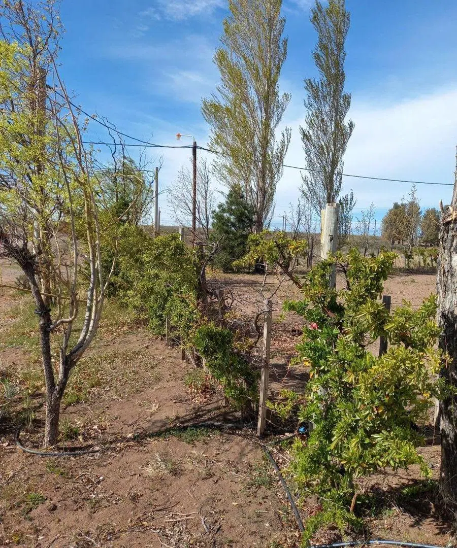 VENTA LOTE VILLA EL CHOCÓN 6