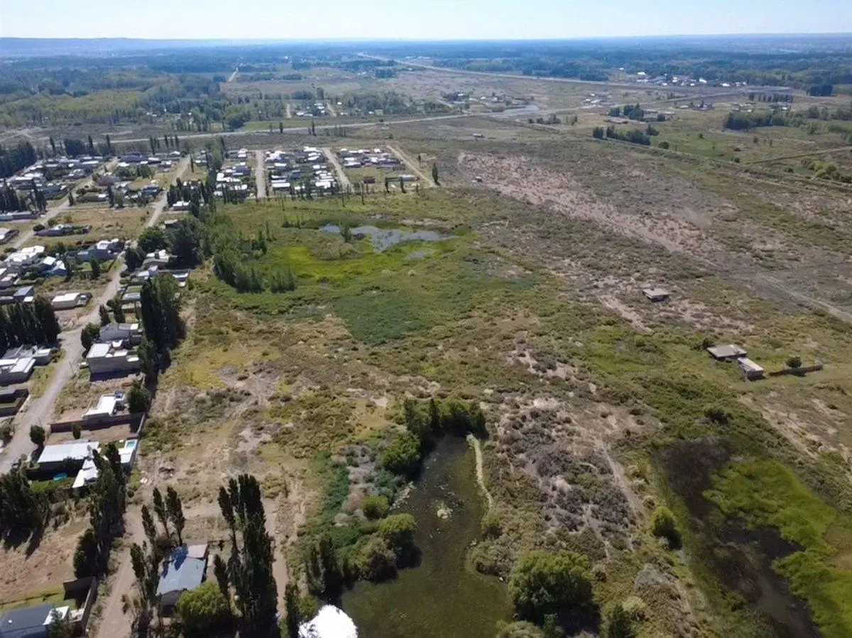 10 HECTAREAS EN VENTA, PLOTTIER 3