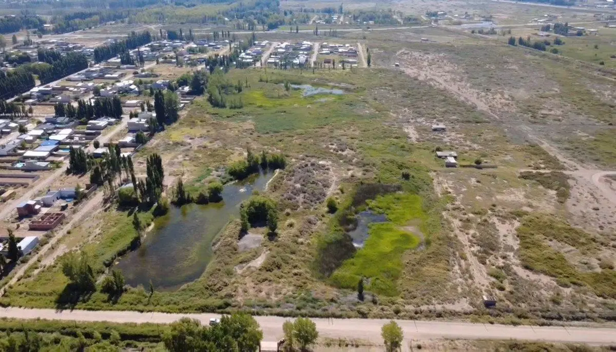 10 HECTAREAS EN VENTA, PLOTTIER 5
