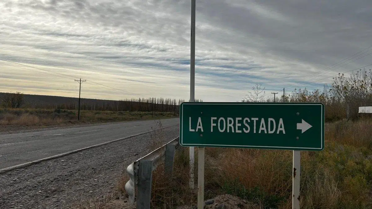 EN VENTA LOTE LA FORESTADA, AÑELO, NEUQUEN 5
