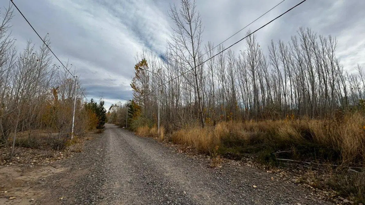 EN VENTA LOTE LA FORESTADA, AÑELO, NEUQUEN 2