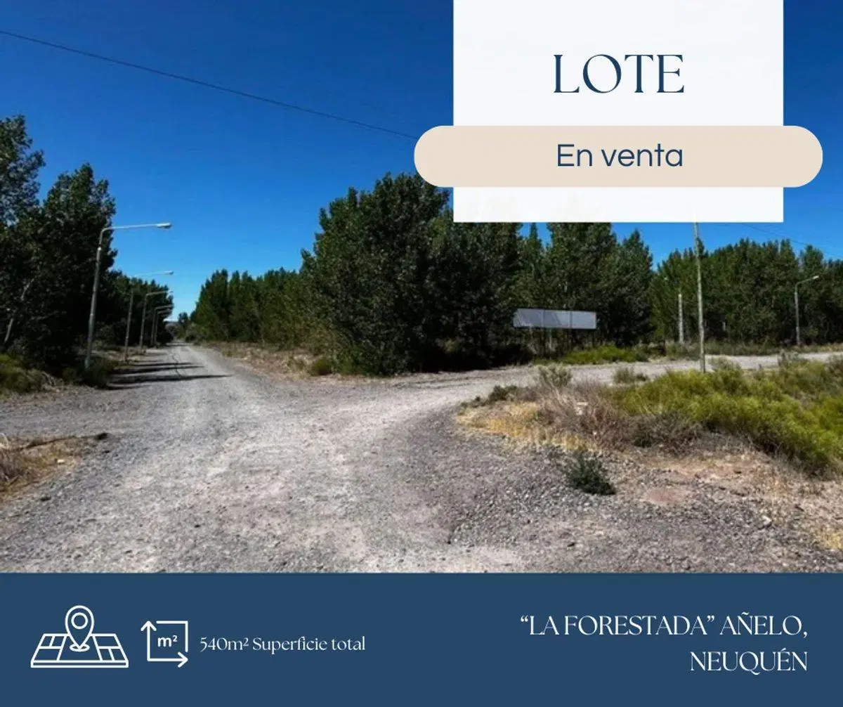 EN VENTA LOTE LA FORESTADA, AÑELO, NEUQUEN 4
