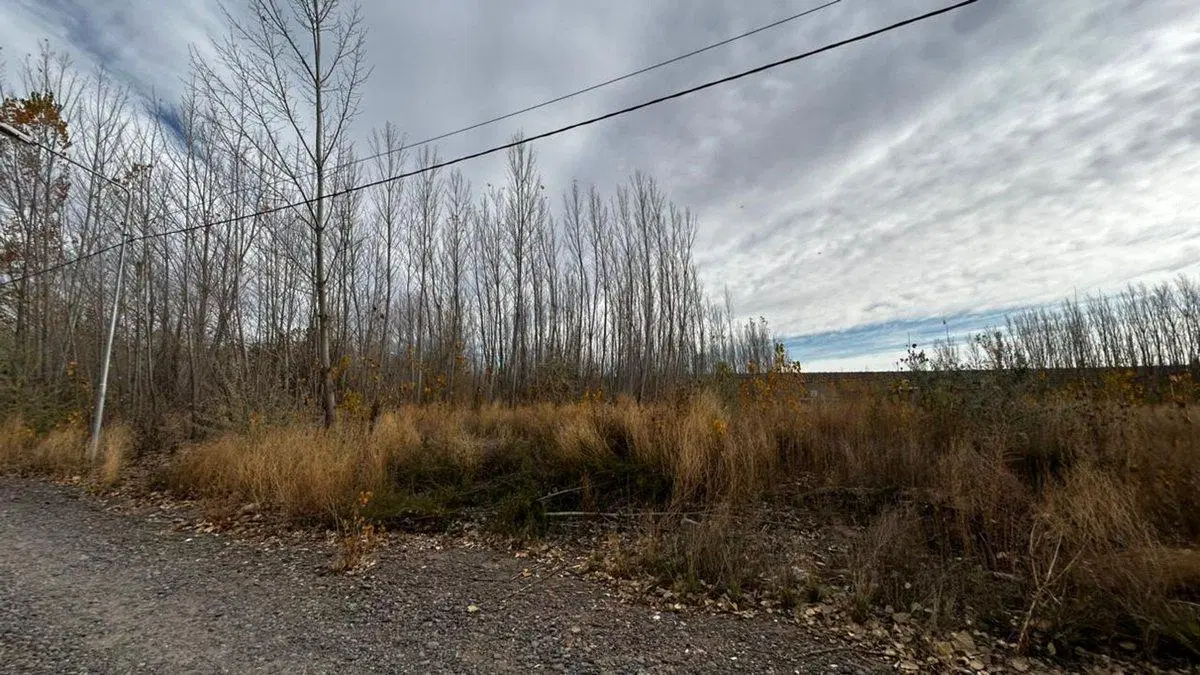 EN VENTA LOTE LA FORESTADA, AÑELO, NEUQUEN 3