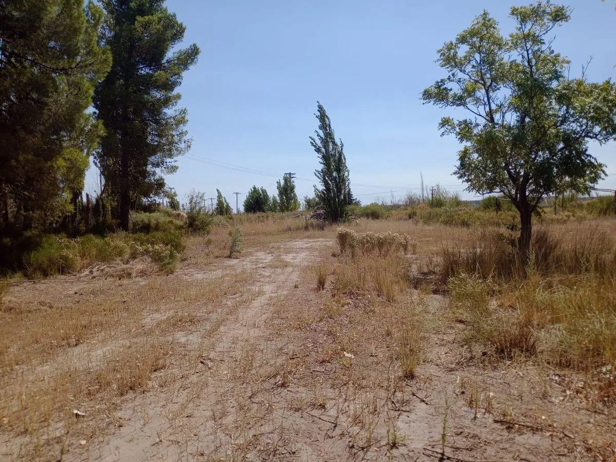 Alquiler de predio de 4.400 m2 3