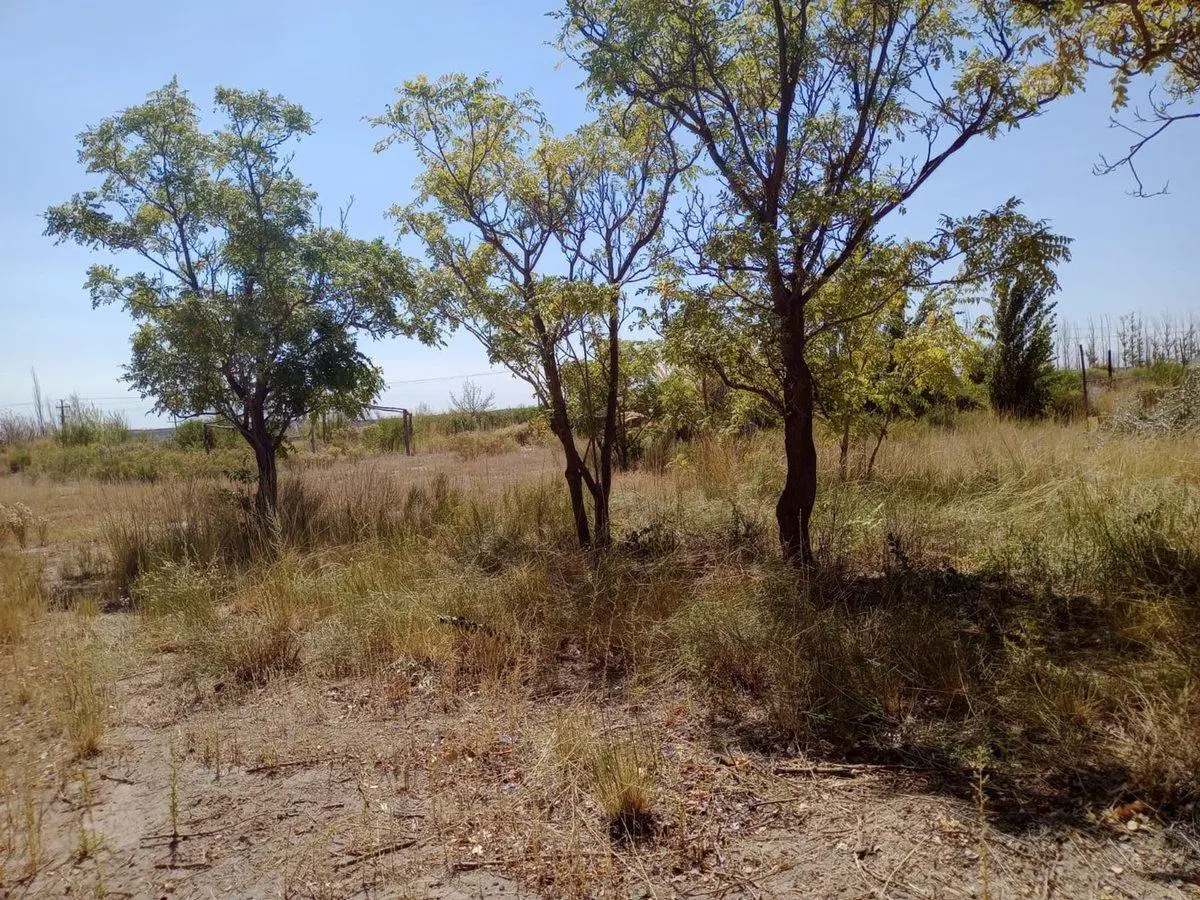 Alquiler de predio de 4.400 m2 4