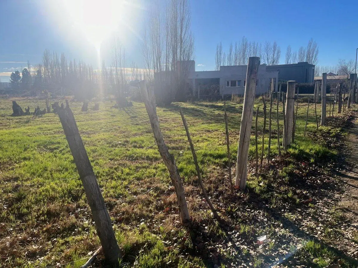 VENTA DE TERRENO EN EXCLUSIVO BARRIO - PLOTTIER 5
