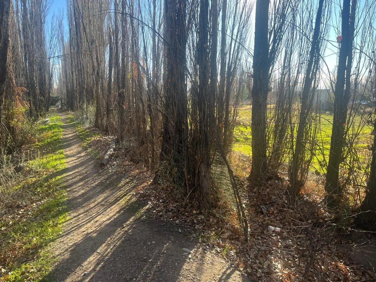 VENTA DE TERRENO EN EXCLUSIVO BARRIO - PLOTTIER 3