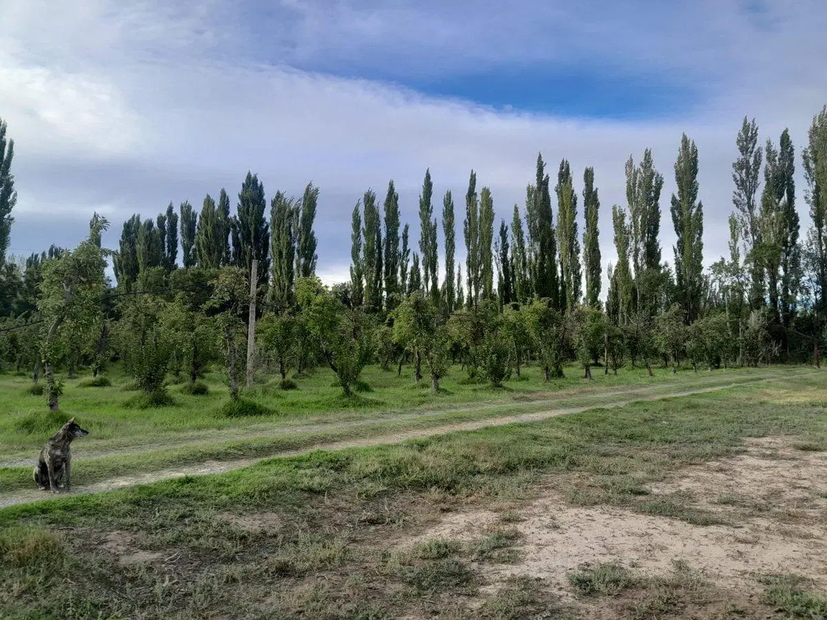 Venta excelente terreno en Barda del medio 5