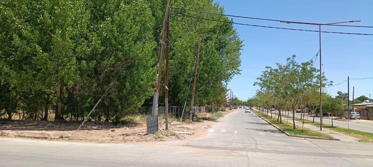 Lote 4870 m2, muy arbolado y casa, Pza. Huincul