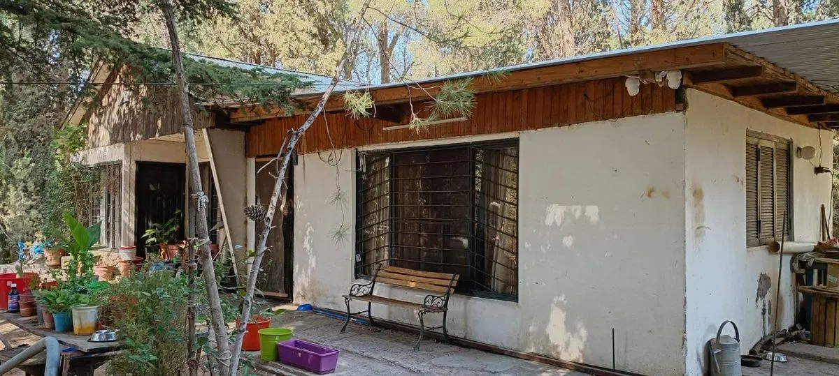 Lote 4870 m2,  muy arbolado y casa, Pza. Huincul 5