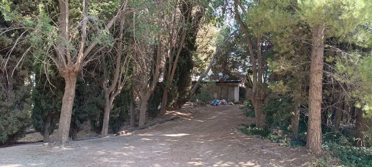 Lote 4870 m2,  muy arbolado y casa, Pza. Huincul 3