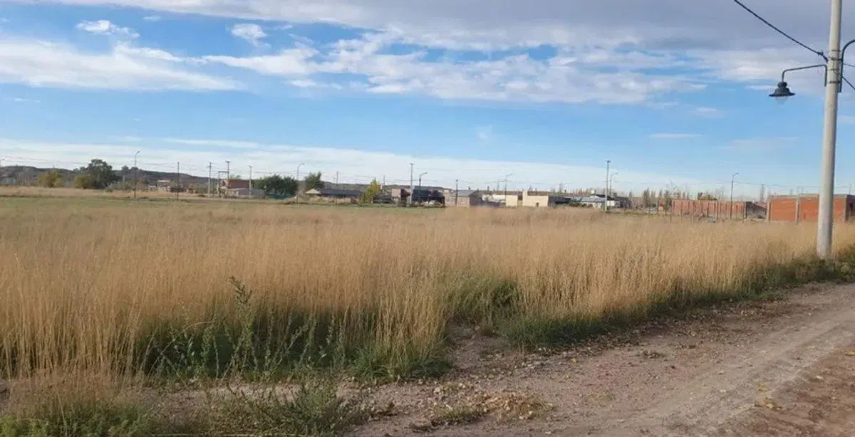 Lote en Oro: Naturaleza y Confort para tu familia 3