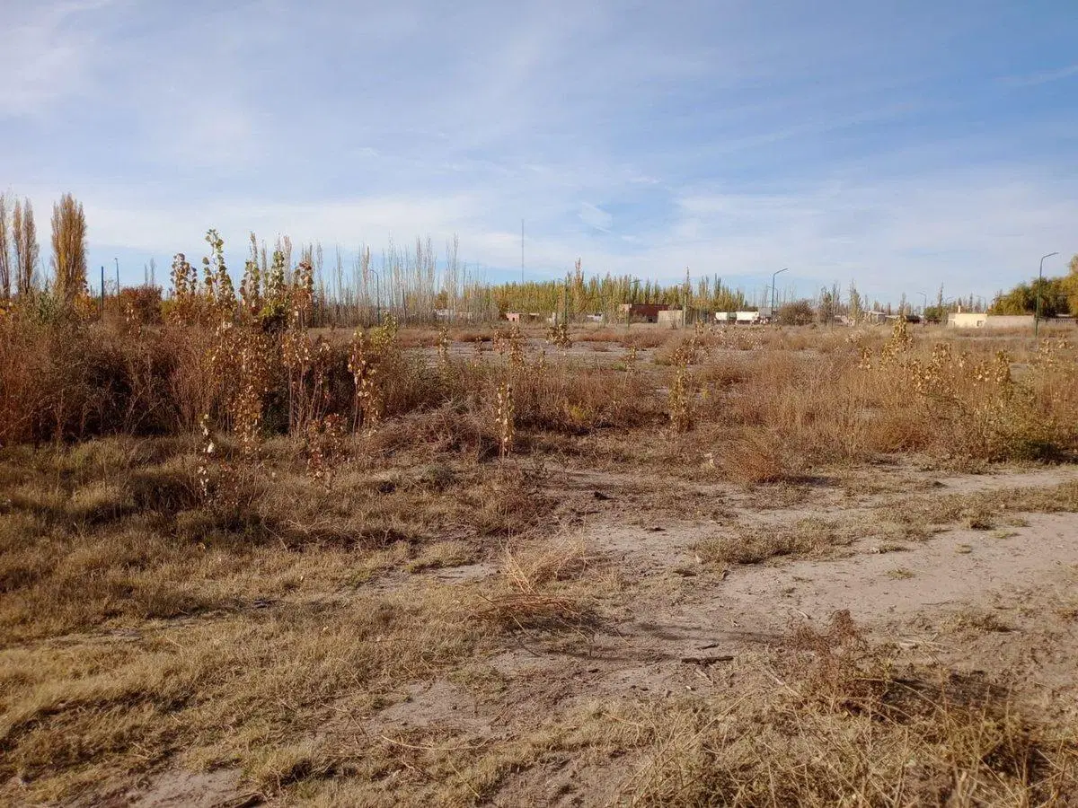 Venta de terreno de 1028,04 en Fernandez Oro 4