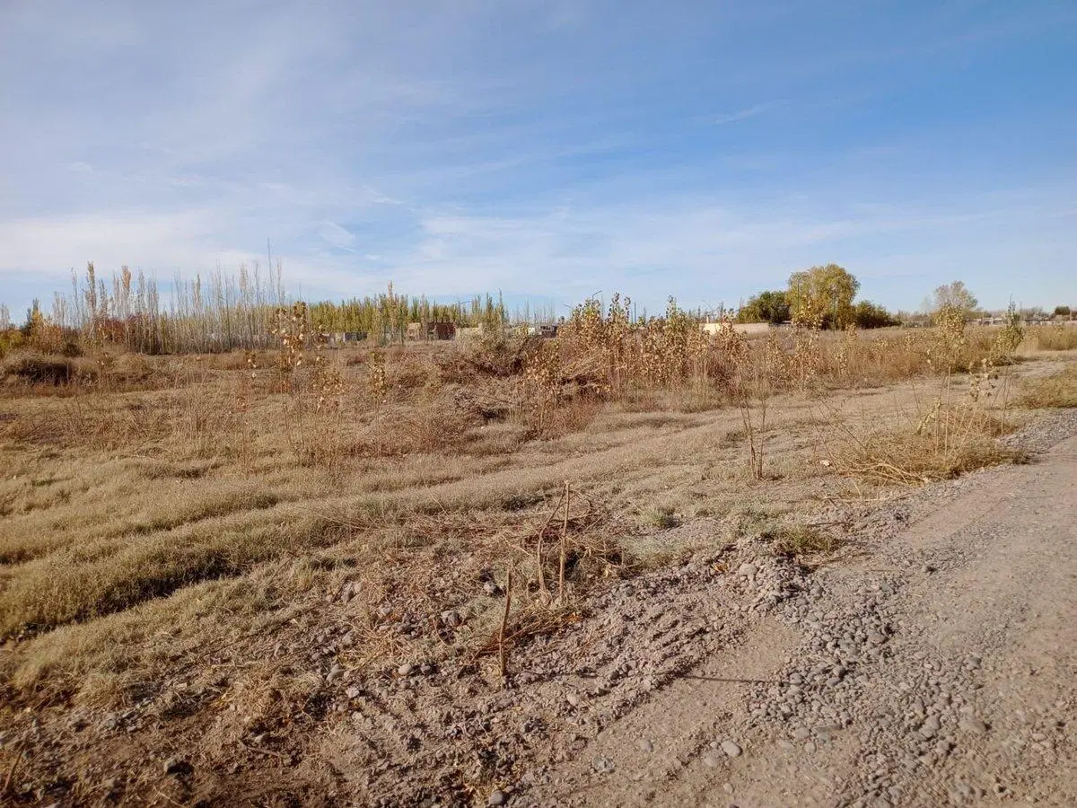 Venta de terreno de 1029,32 en Fernandez Oro 4